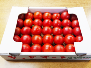 Japanese Brand Tomatoes - Red Ole from Sizuoka.png