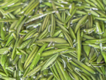 Aquatic Vegetables - Watershield.png