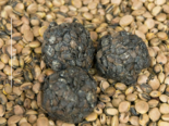 West African Fermented Soybean Products - Sumbala.png