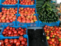 Azorean Tomatoes.png