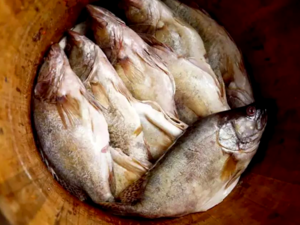 Chinese Cuisine -（腌鲜鱼）Stinky Fish.png