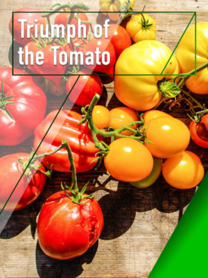 Tomato Documentaries - Triumph of the Tomato.png