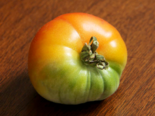 Heirloom Tomato - Big Rainbow.png