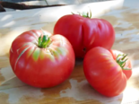 Heirloom Tomato - Dester.png