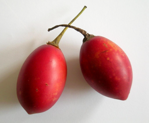 Tamarillo fruits.png