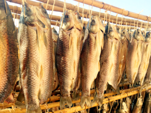 Chinese Cuisine -（鱼干）Dried Fish.png