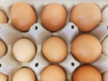 Plymouth Rock - Eggs.png