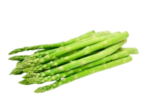 Asparagus officinalis - Asparagus.png