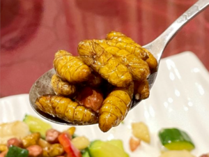 Chinese Cuisine -（蚕蛹）Can Yong.png