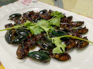 Chinese Cuisine -（龙虱）Long Shi.png