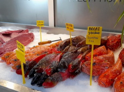 Azorean Seafood -（Peixe）Fish.png