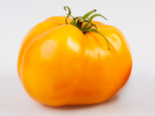 Heirloom Tomato - Sunray.png