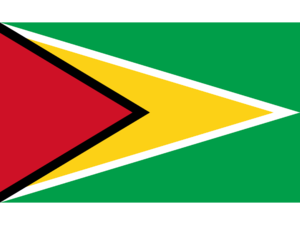 Republic of Guyana.png