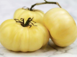 Heirloom Tomato - White Beauty.png