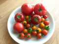 List of Tomato cultivars.png