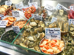 Portuguese Seafood -（Mariscos）Crustaceans and Shellfish.png