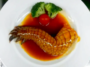 Chinese Cuisine -（红烧鳄鱼掌）Hong Shao E Yu Zhang.png