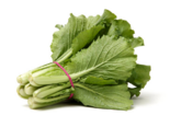 Brassica rapa var. chinensis - Pak Choi.png