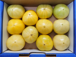 Japanese Brand Tomatoes - TsukiRoman from Sizuoka.png