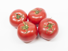 塩熟トマトの位置