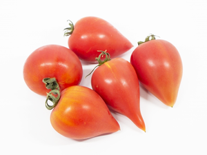 Japanese Tomato Varieties - Renaissance by Sakata Seed.png