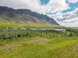 Icelandic Farms - Stjörnuegg ehf.png