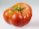 Heirloom Tomato - Brandywine.png
