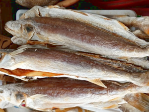 Chinese Cuisine -（咸鱼）Salted Fish.png
