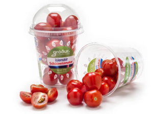 Icelandic Tomatoes - Sólskinstómatar.png