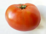 Heirloom Tomato - Ace 55.png