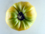 Heirloom Tomato - Lillian's Yellow.png