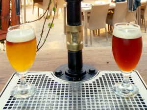 Icelandic Beers -（Friðheimar）Tómatbjór.png