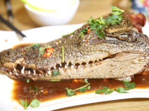 Chinese Cuisine -（鳄鱼菜）Crocodile Dishes.png