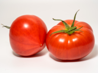 Normal sized Tomatoes.png