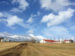 Icelandic Farms - Hranastaðir.png