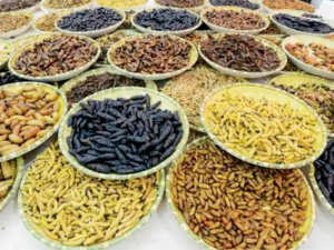 Chinese Ingredients -（昆虫）Insects.png