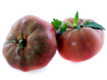Heirloom Tomato - Black Krim.png