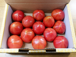 Japanese Brand Tomatoes - Sweet Mild Tomato from Sizuoka.png
