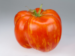 Heirloom Tomato - Striped Cavern.png