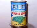 American Cuisine -（Clear Green Turtle Soup）Real Turtle Soup.png