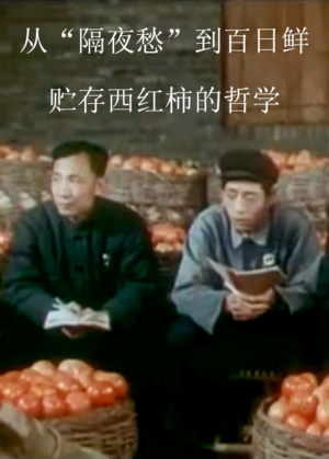 Chinese Films -（从“隔夜愁”到百日鲜 - 贮存西红柿的哲学）Cong“Ge Ye Chu”Dao Bai Ri Xian - Zhu Cun Xi Hong Shi De Zhe Xue.png