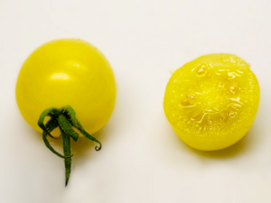 Heirloom Tomato - Lollipop.png