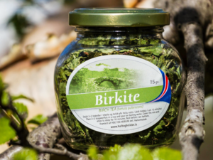 Icelandic Teas -（Birch Tea）Birkite.png