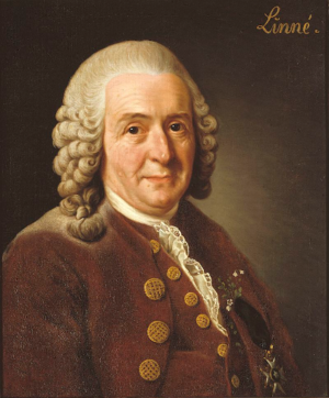 Carl von Linné.png