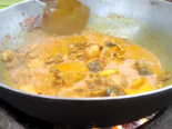 Indian Cuisine -（কচ্ছপৰ তৰকাৰী）Soft Shelled Turtle Curry.png