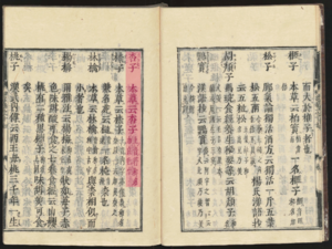 Japanese Old Books -（倭名類聚抄）杏子.png