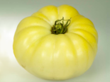 Heirloom Tomato - White Queen.png