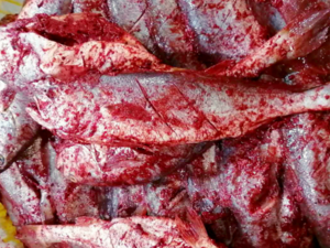 Chinese Cuisine -（红糟鱼）Red Glutinous Rice Wine Lees Fish.png