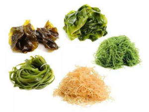 Chinese Ingredients -（藻类）Algae.png