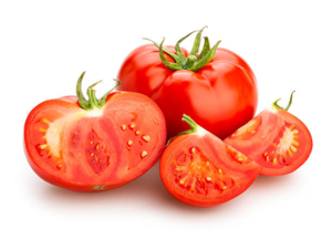 Tomato - Solanum lycopersicum.png